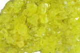 Bright-Yellow Sulfur Crystals - Bolivia #301876-1